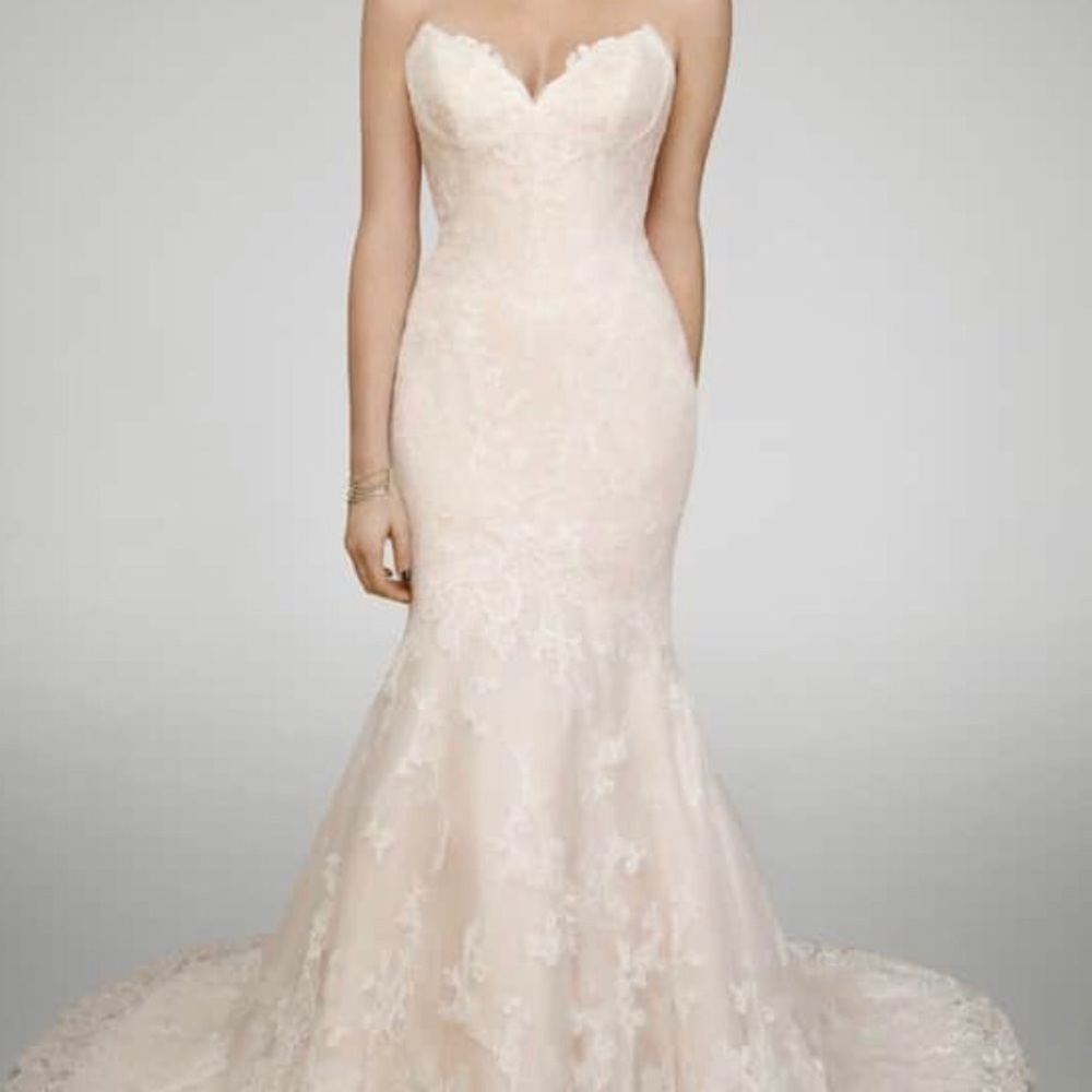 Matthew Christopher 💍👰🏻this is Tylor 2017 line